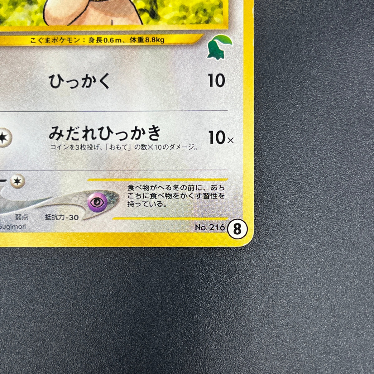 Teddiursa No. 216 Intro Pack Chikorita Deck Pokémon Card