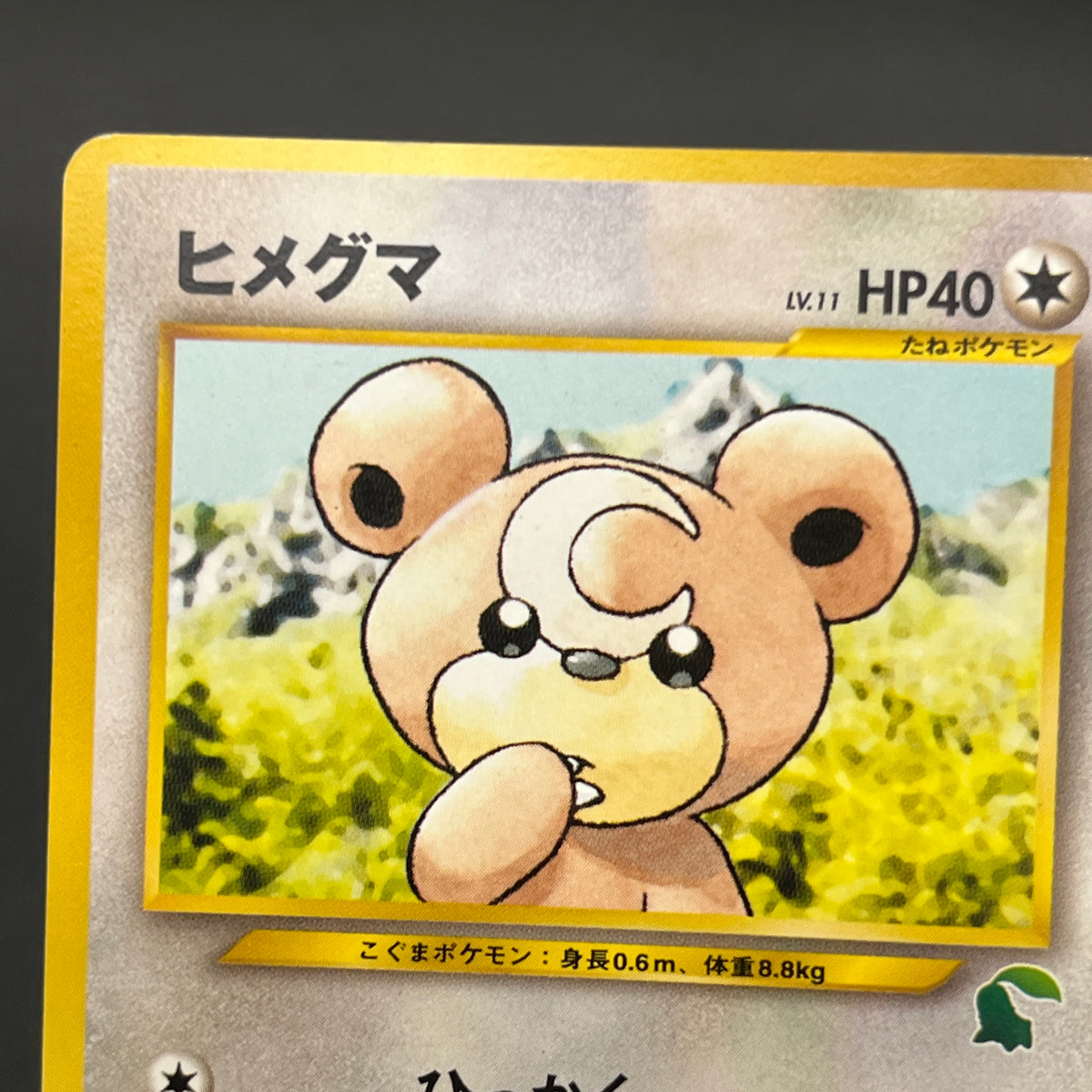 Teddiursa No. 216 Intro Pack Chikorita Deck Pokémon Card