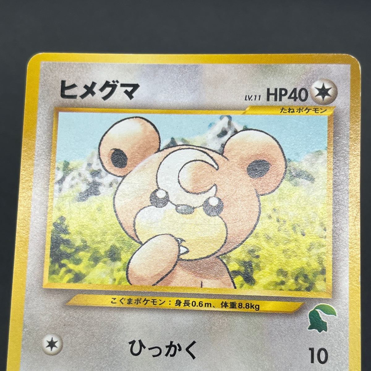 Teddiursa No. 216 Intro Pack Chikorita Deck Pokémon Card