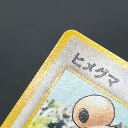 Teddiursa No. 216 Intro Pack Chikorita Deck Pokémon Card