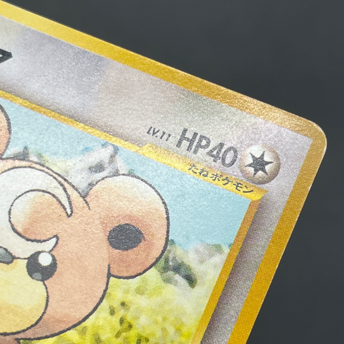 Teddiursa No. 216 Intro Pack Chikorita Deck Pokémon Card