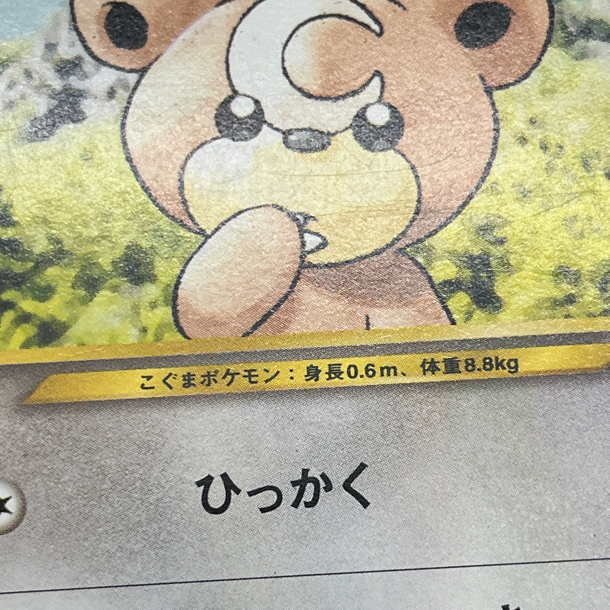 Teddiursa No. 216 Intro Pack Chikorita Deck Pokémon Card