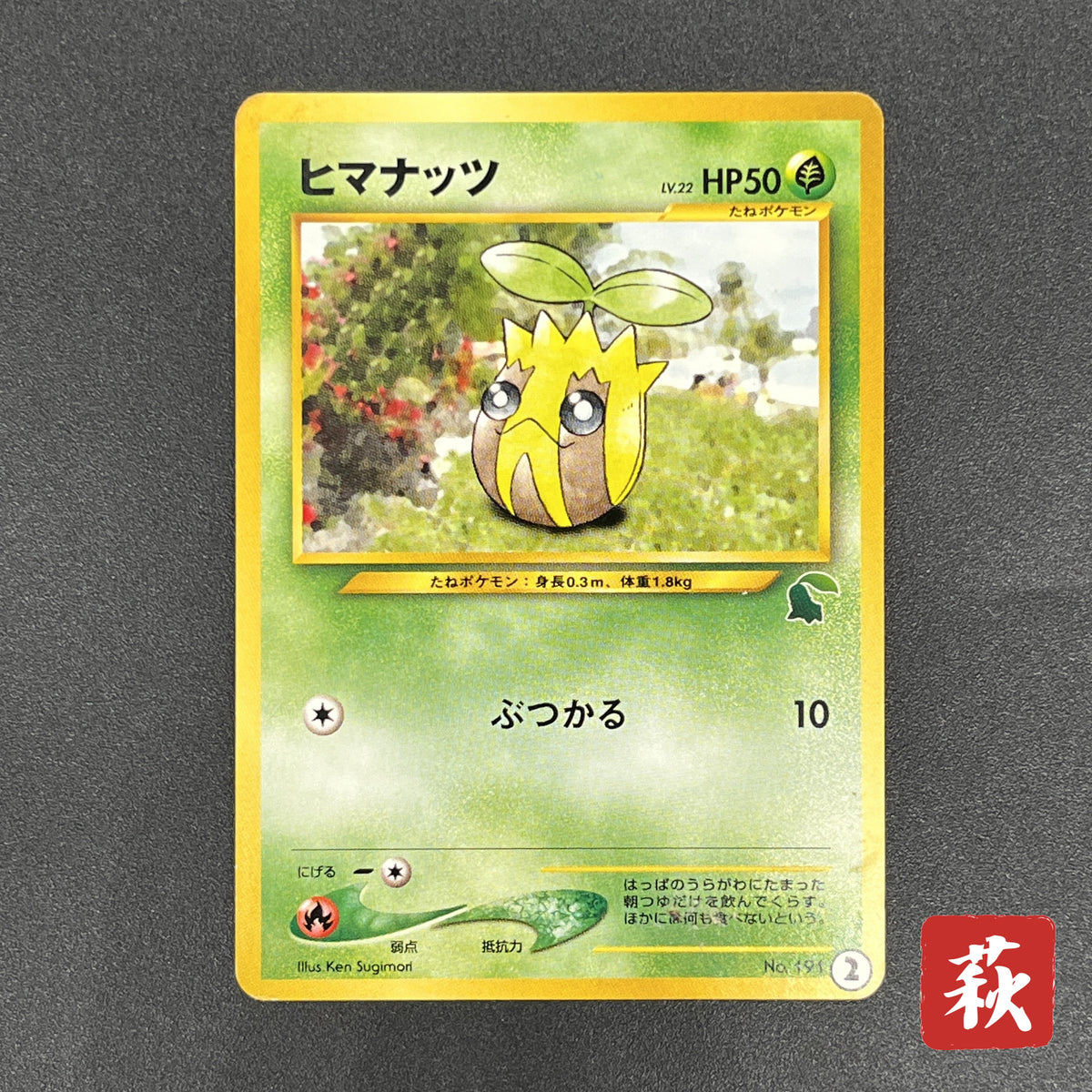 Sunkern 191 Intro Pack Chikorita Half Deck Pokemon Card