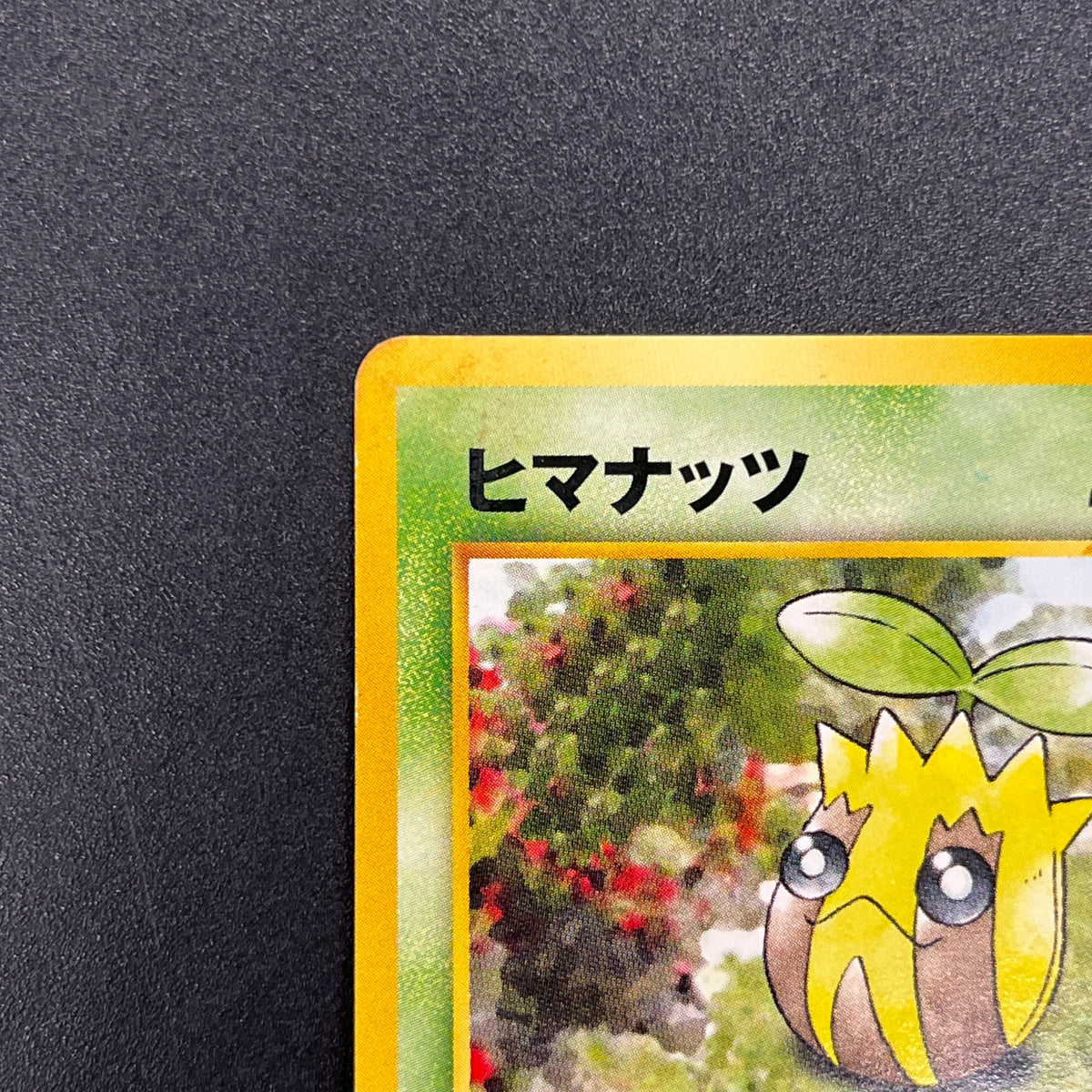 Sunkern 191 Intro Pack Chikorita Half Deck Pokemon Card