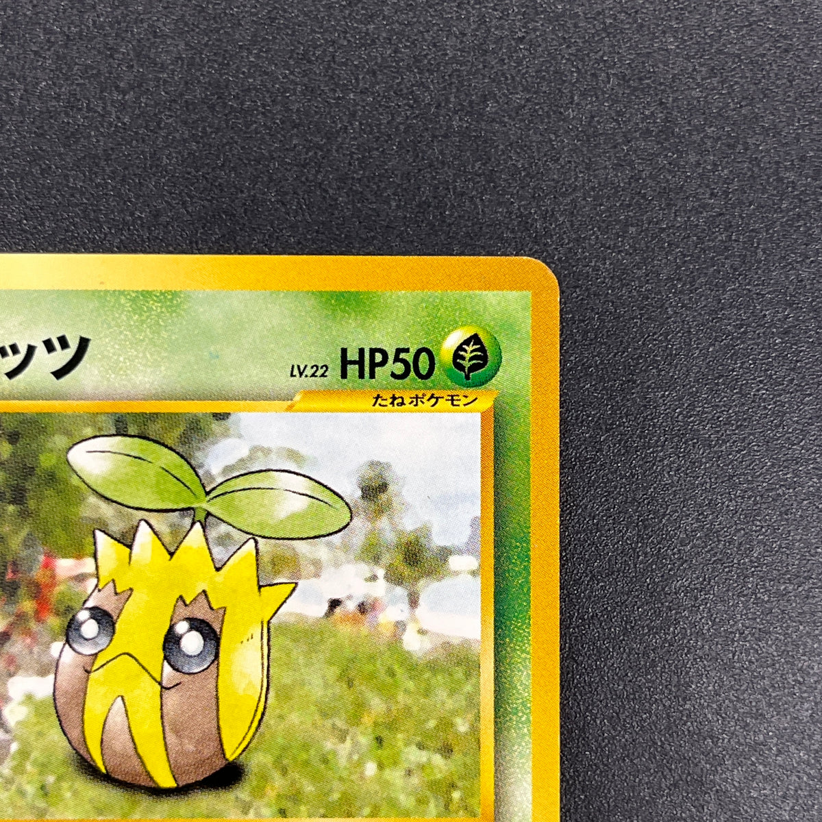 Sunkern 191 Intro Pack Chikorita Half Deck Pokemon Card