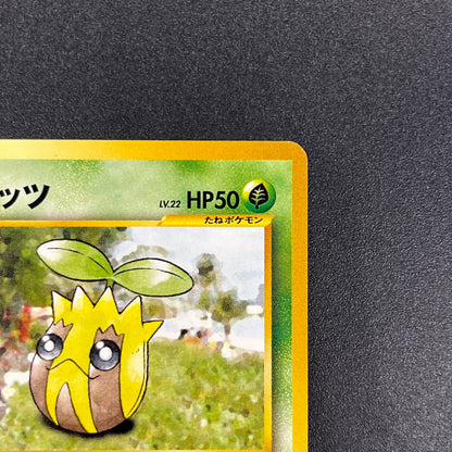 Sunkern 191 Intro Pack Chikorita Half Deck Pokemon Card