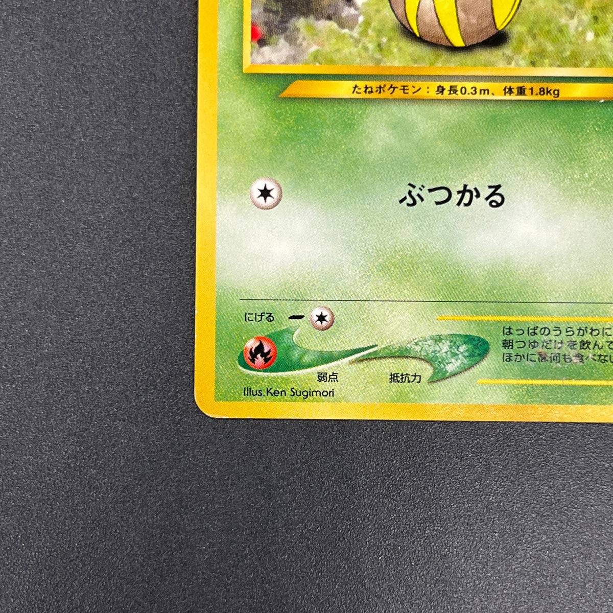 Sunkern 191 Intro Pack Chikorita Half Deck Pokemon Card