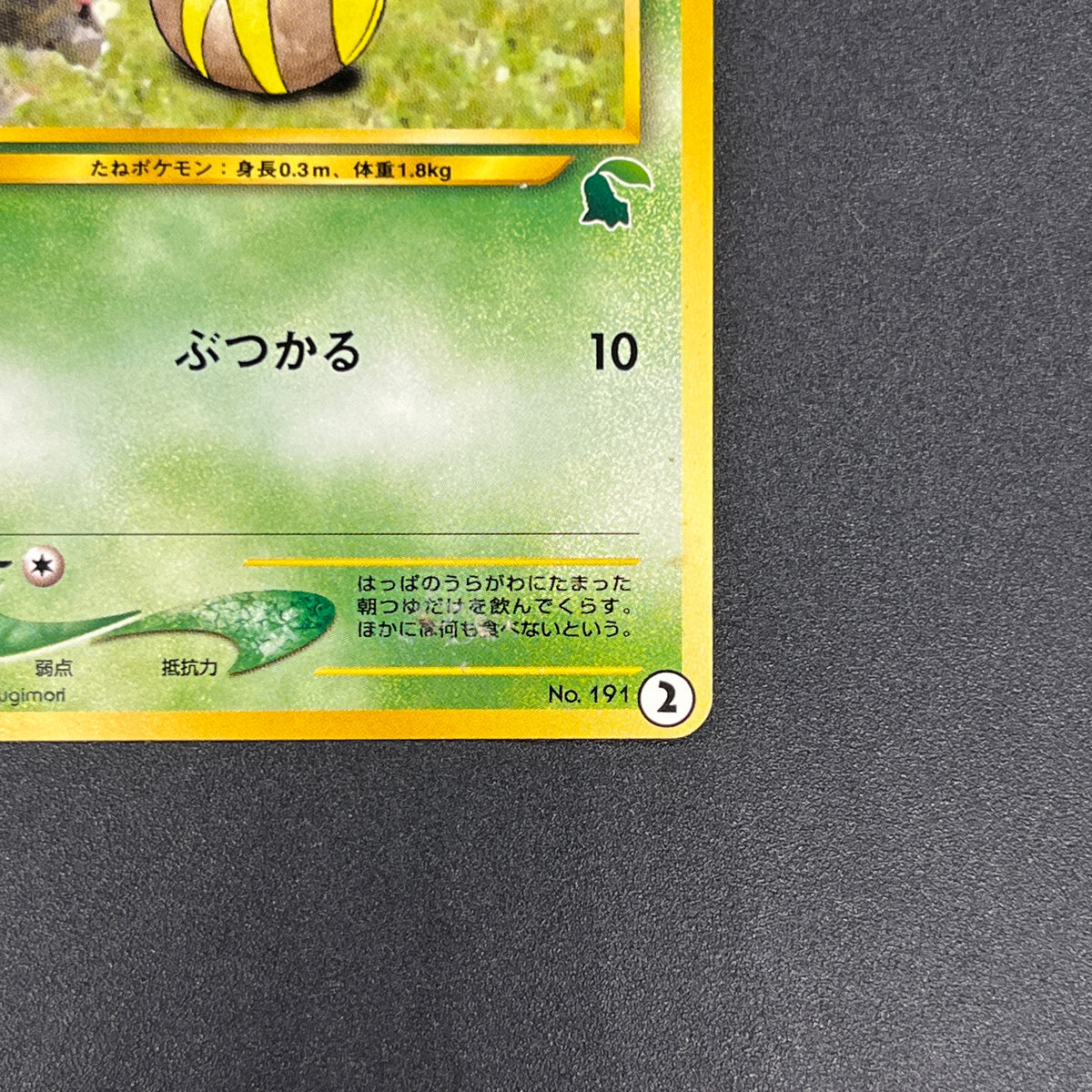 Sunkern 191 Intro Pack Chikorita Half Deck Pokemon Card