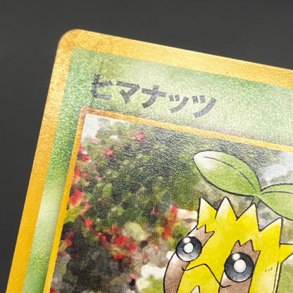Sunkern 191 Intro Pack Chikorita Half Deck Pokemon Card