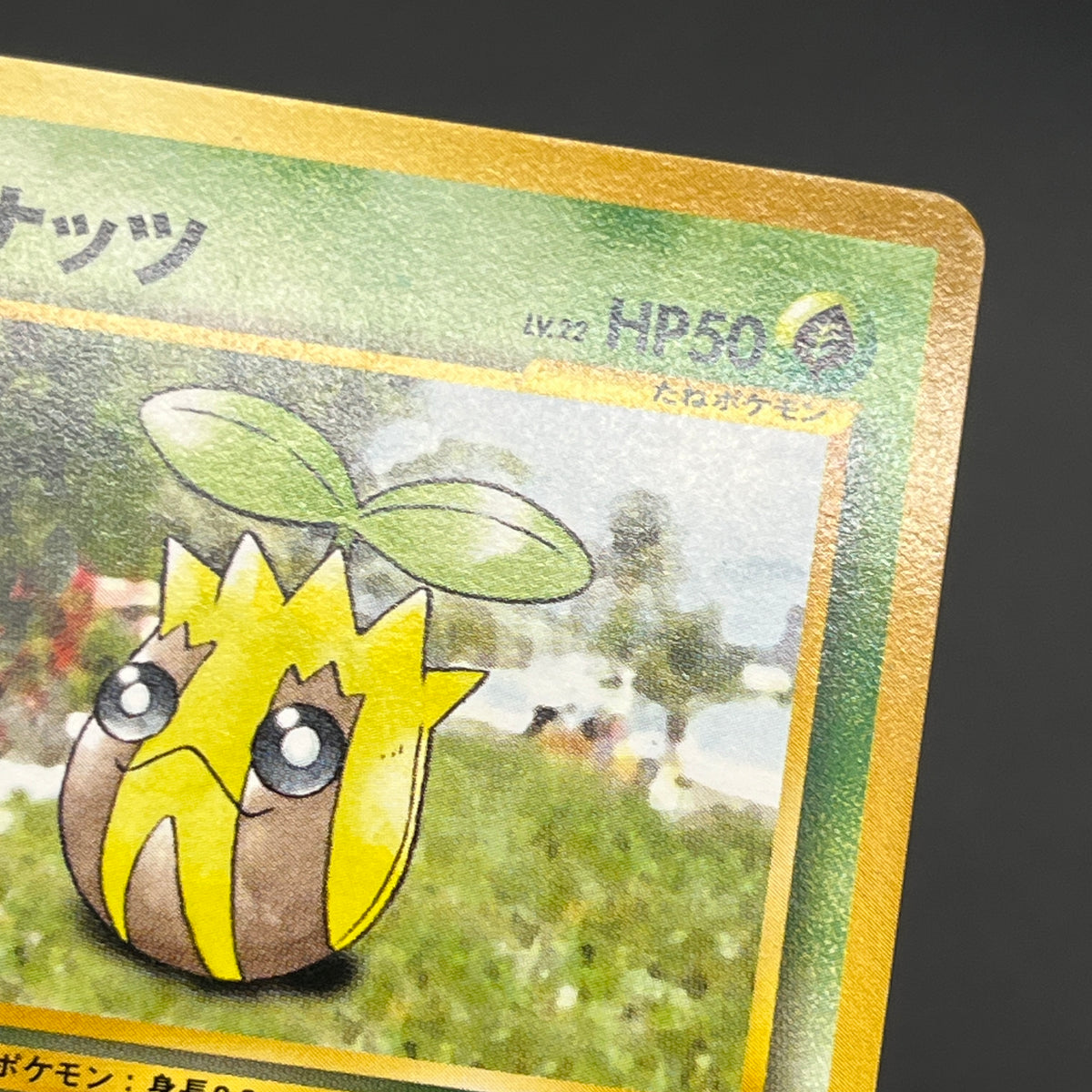 Sunkern 191 Intro Pack Chikorita Half Deck Pokemon Card