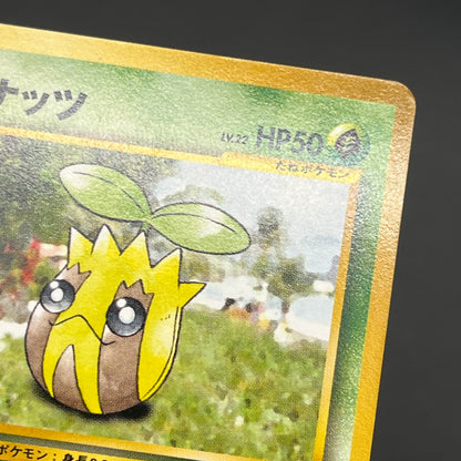 Sunkern 191 Intro Pack Chikorita Half Deck Pokemon Card