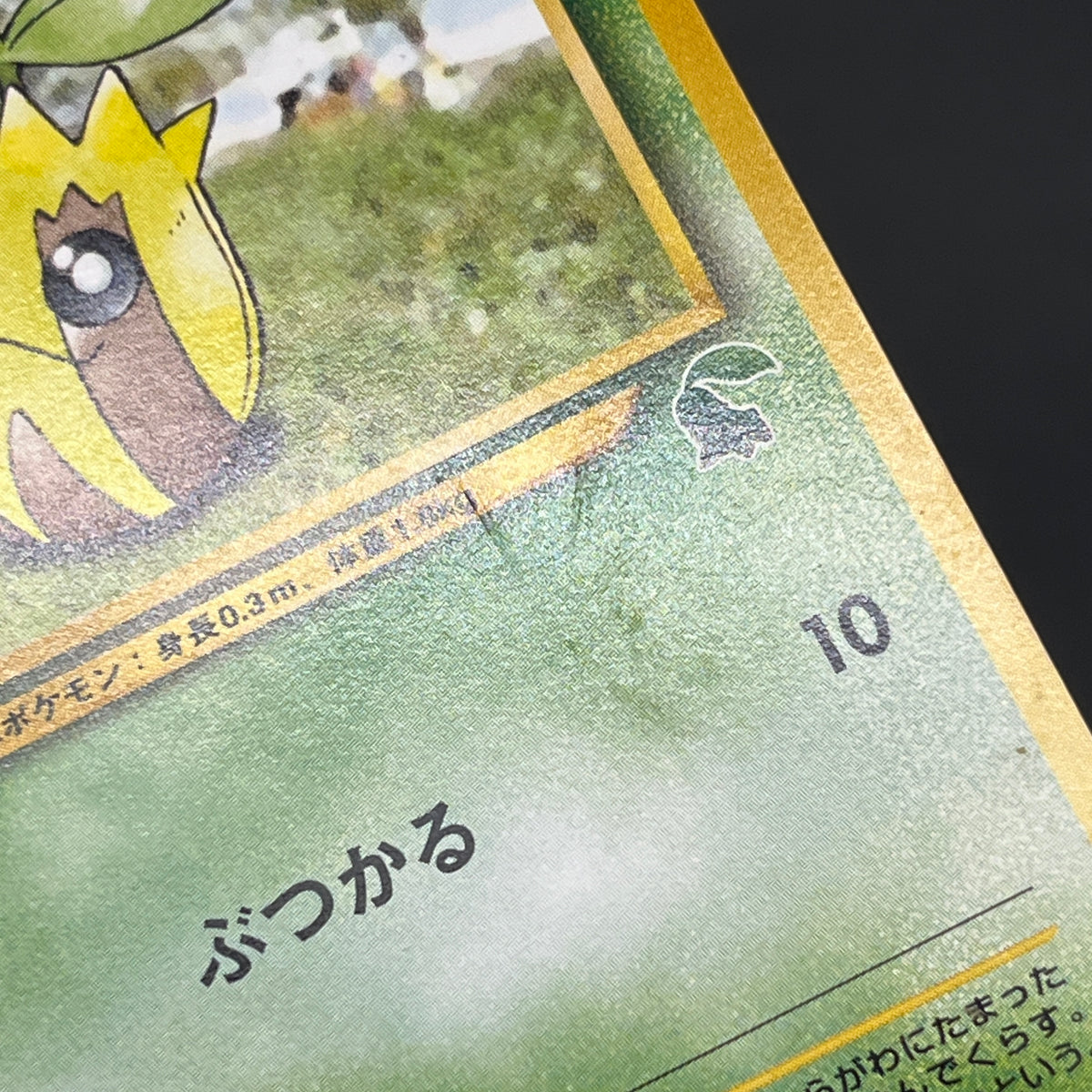 Sunkern 191 Intro Pack Chikorita Half Deck Pokemon Card