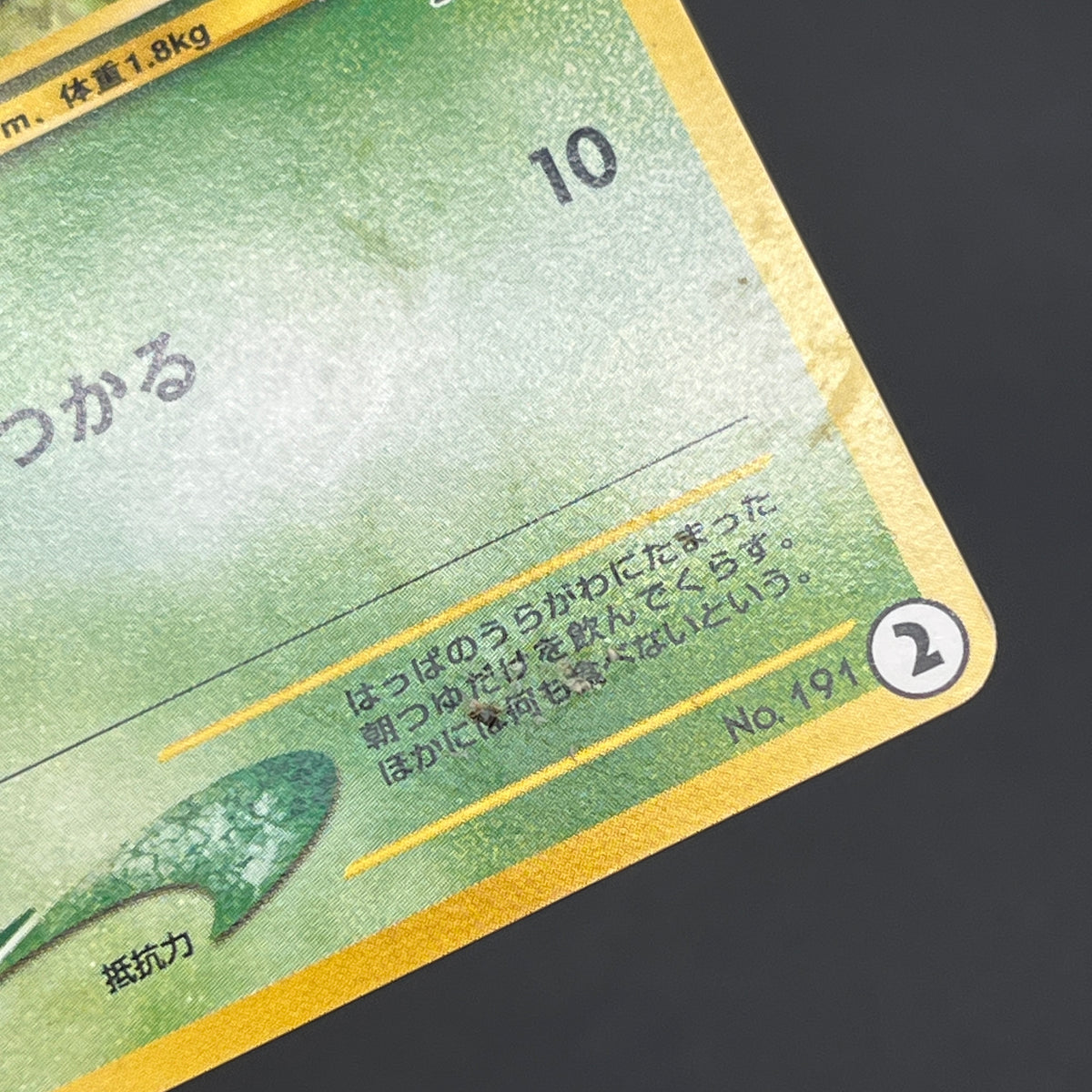 Sunkern 191 Intro Pack Chikorita Half Deck Pokemon Card