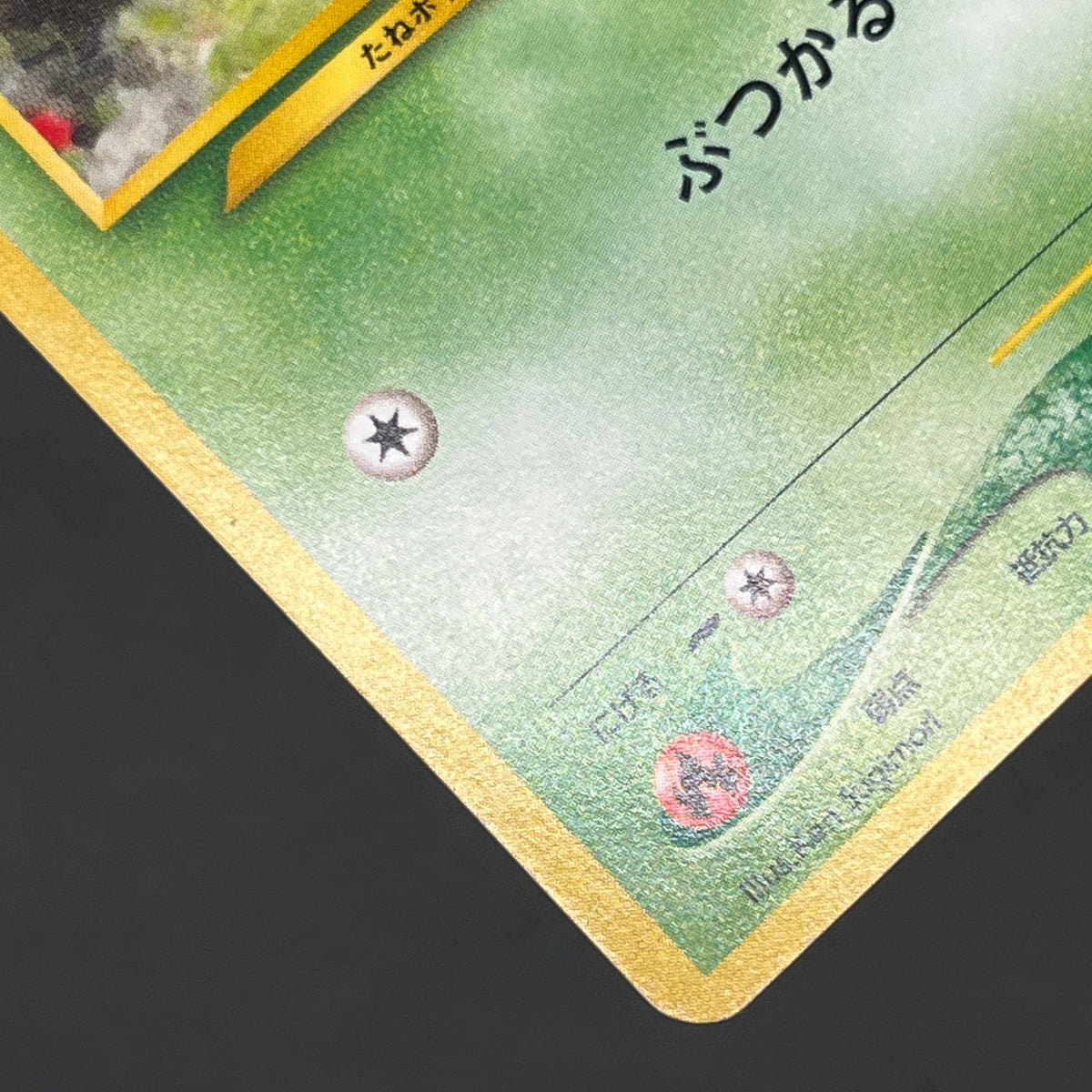 Sunkern 191 Intro Pack Chikorita Half Deck Pokemon Card
