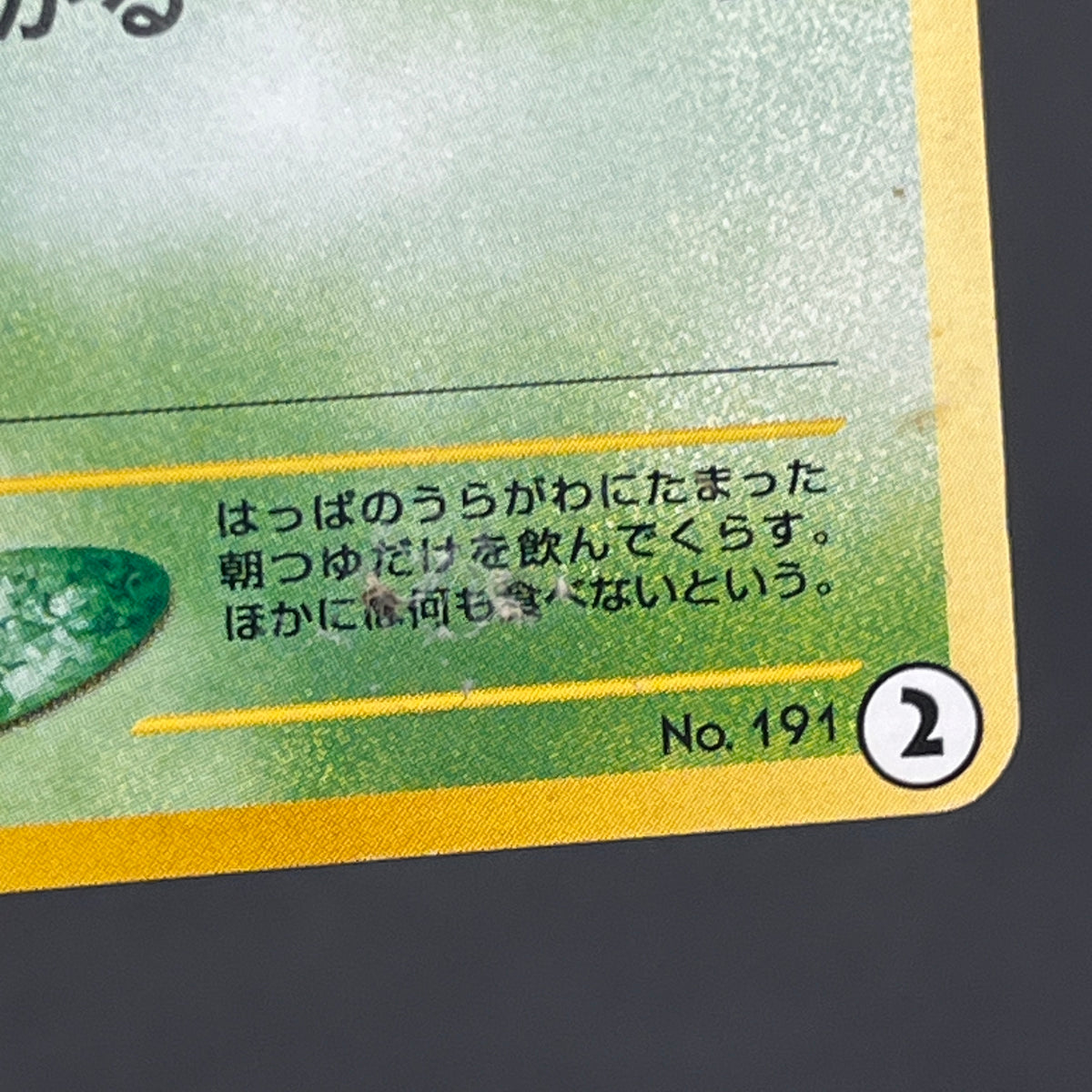 Sunkern 191 Intro Pack Chikorita Half Deck Pokemon Card