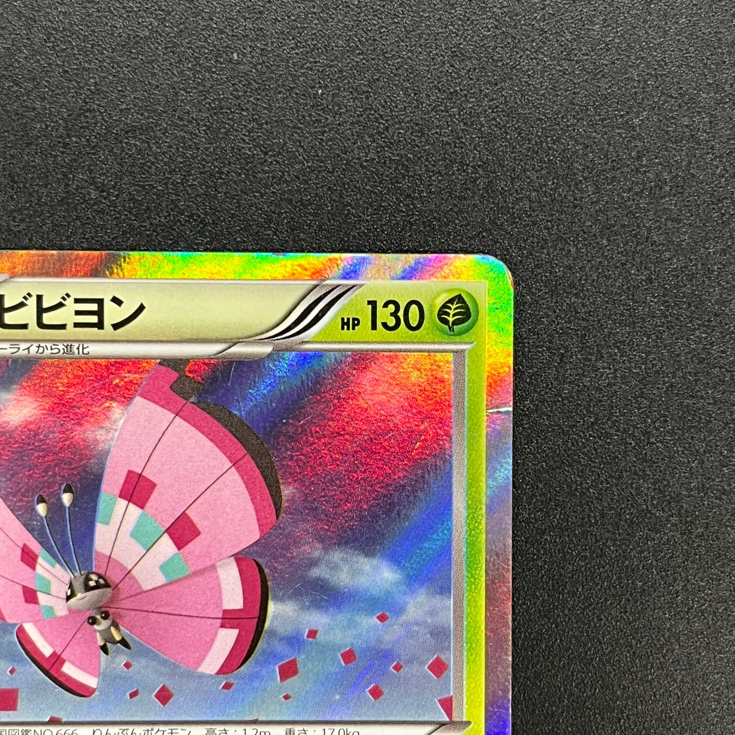 Vivillon 008/060 Collection X Unlimited Holo Pokemon Card