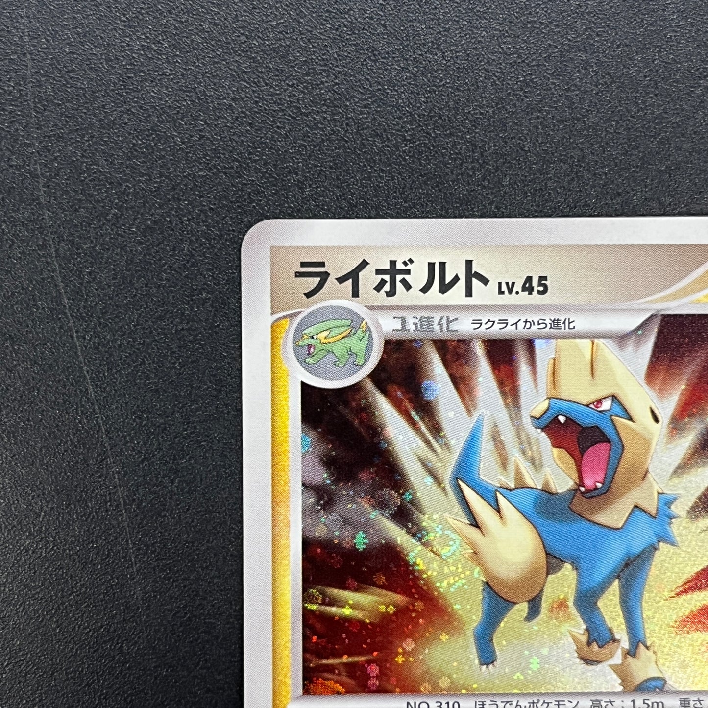 Manectric 038/096 Holo Galactics Conquest Pokemon Card