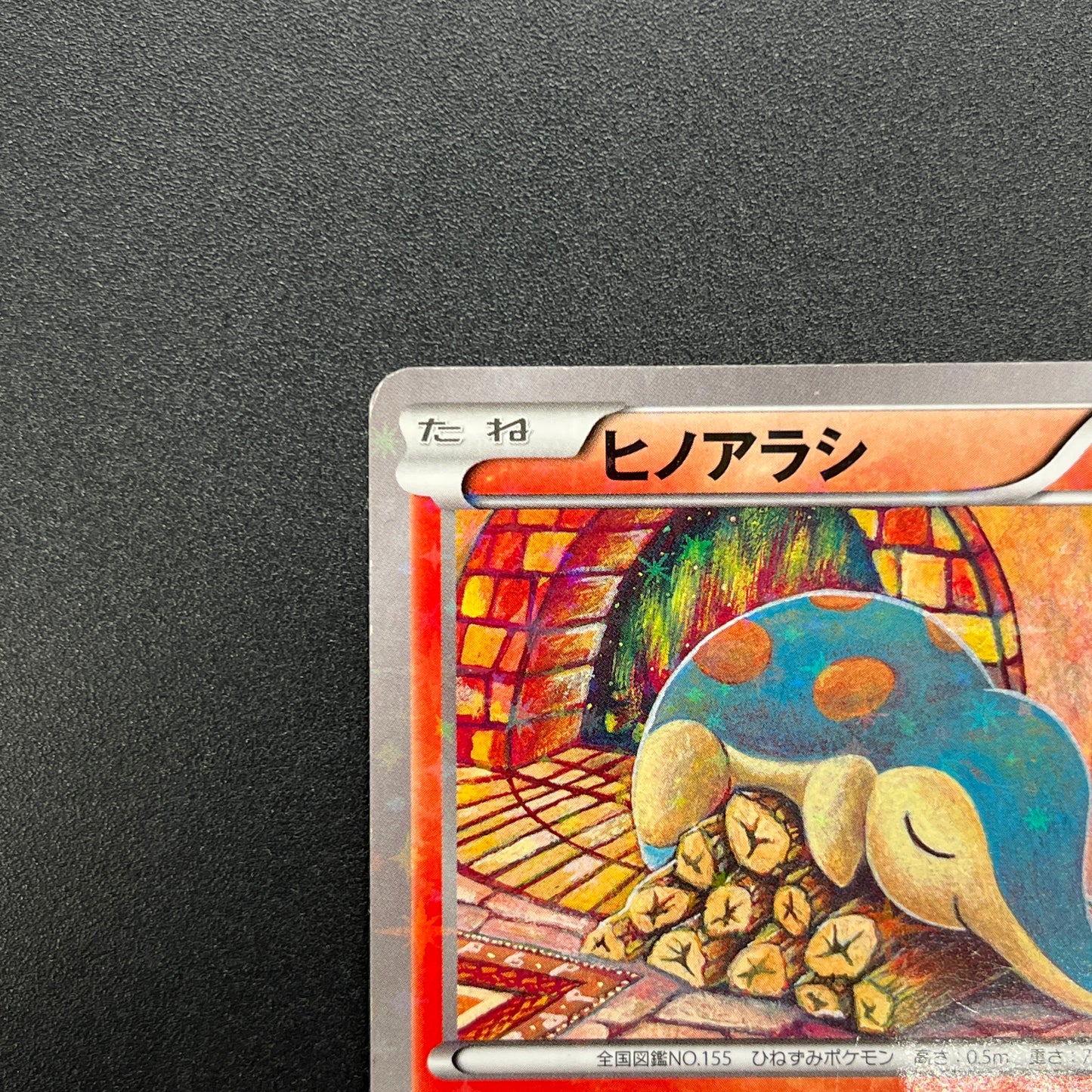 Cyndaquil 223/XY-P Ho-Oh/Lugia Special Set Pokemon Card