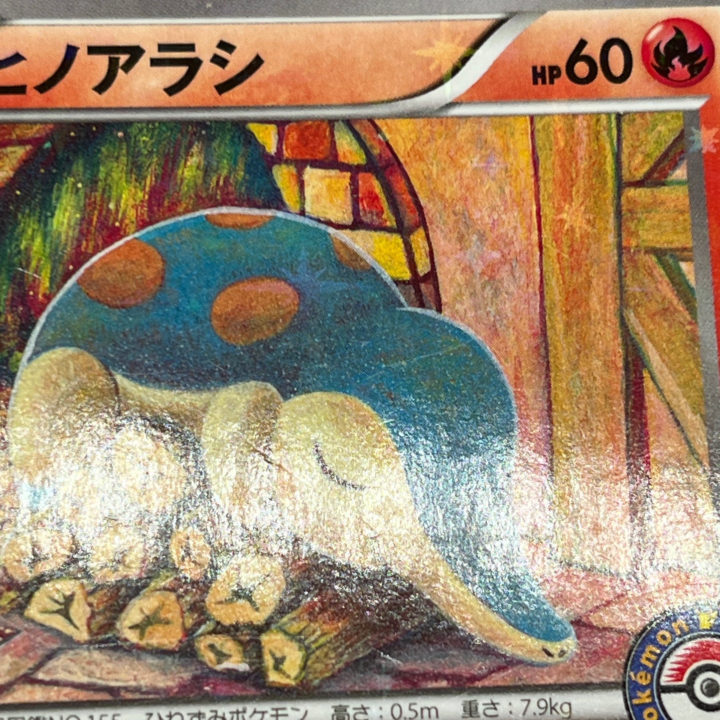 Cyndaquil 223/XY-P Ho-Oh/Lugia Special Set Pokemon Card