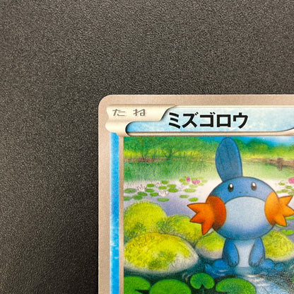 Mudkip 109/XY-P Combini XY Promos Pokemon Japanese