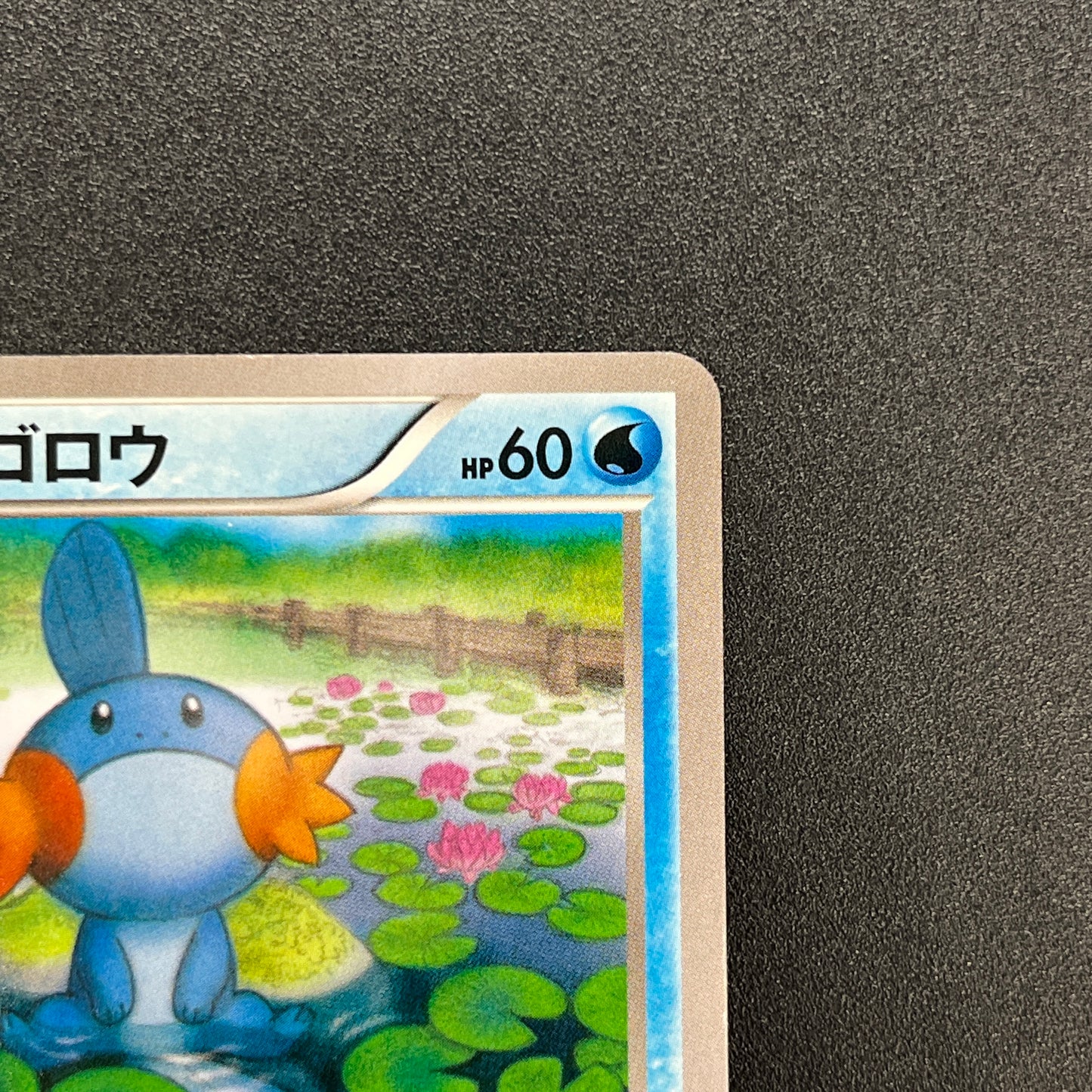 Mudkip 109/XY-P Combini XY Promos Pokemon Japanese