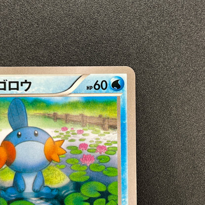 Mudkip 109/XY-P Combini XY Promos Pokemon Japanese