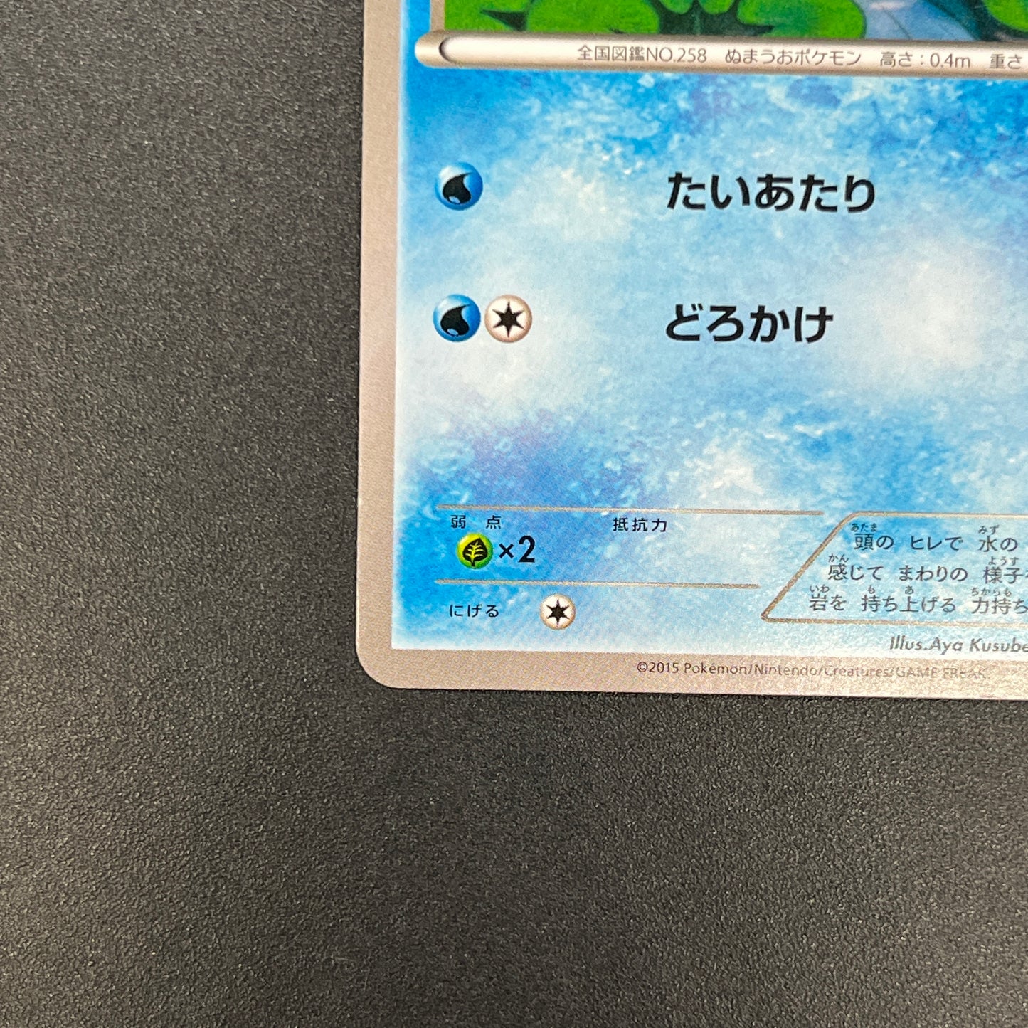 Mudkip 109/XY-P Combini XY Promos Pokemon Japanese