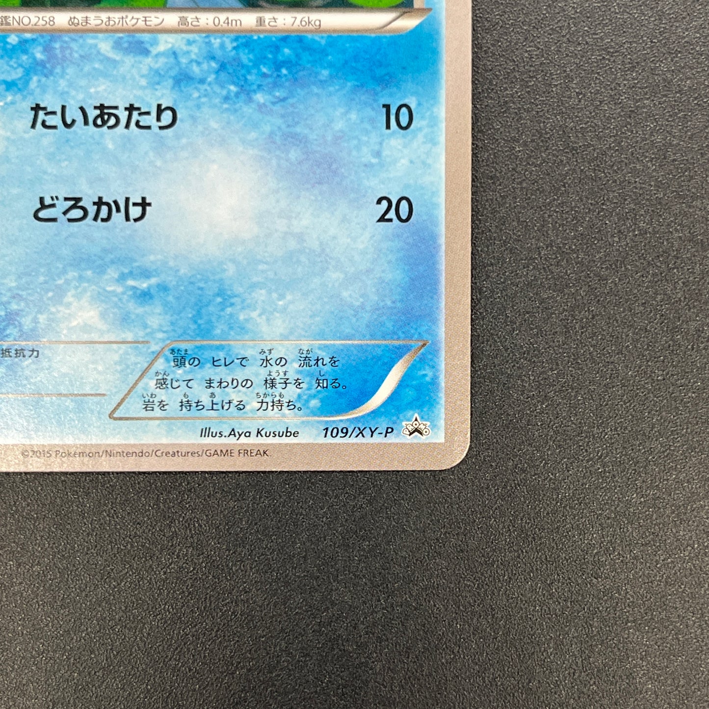 Mudkip 109/XY-P Combini XY Promos Pokemon Japanese