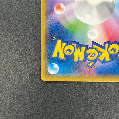 Mudkip 109/XY-P Combini XY Promos Pokemon Japanese