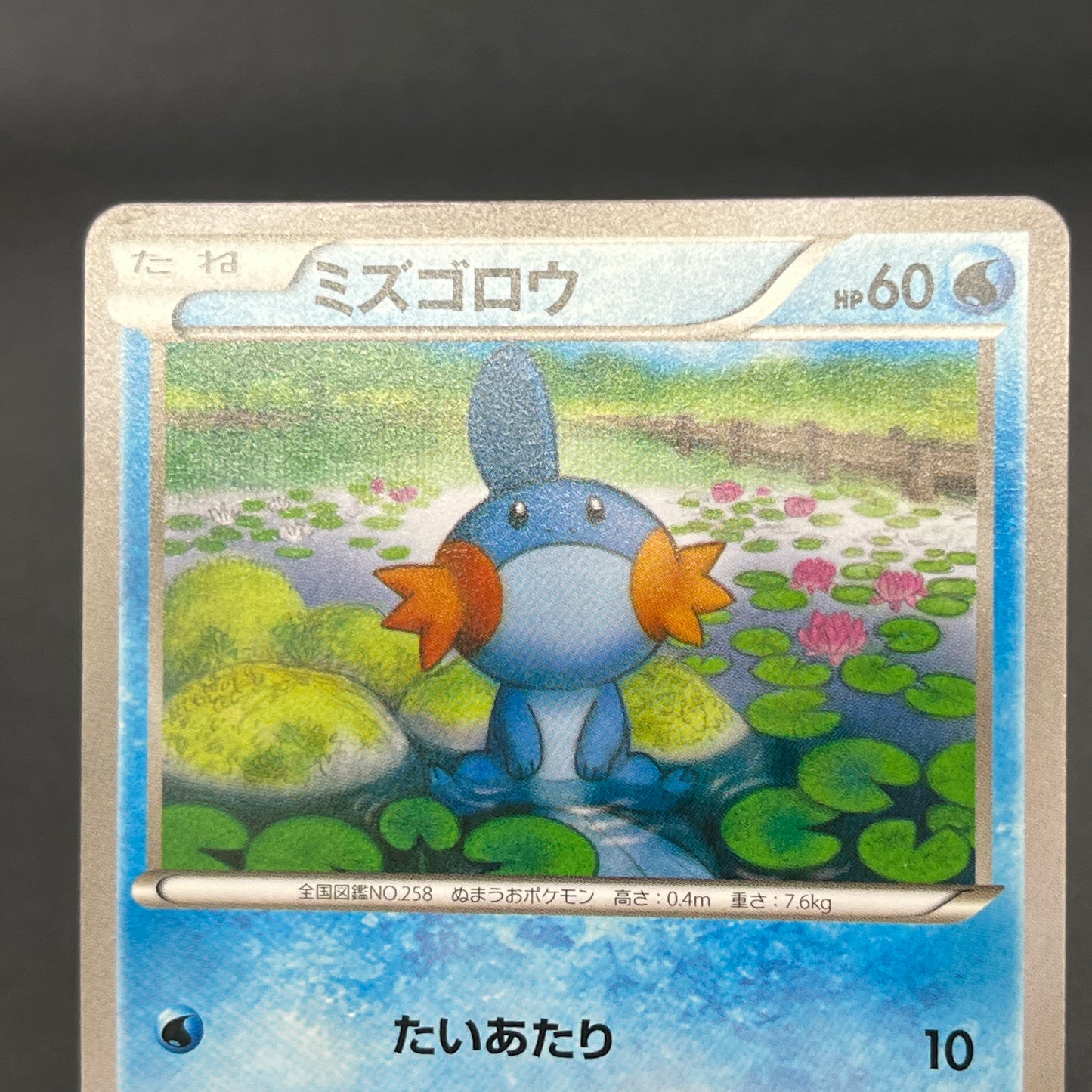 Mudkip 109/XY-P Combini XY Promos Pokemon Japanese