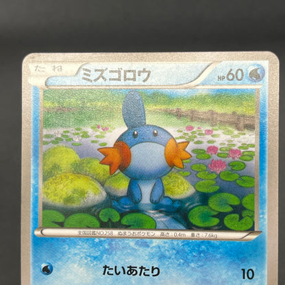 Mudkip 109/XY-P Combini XY Promos Pokemon Japanese