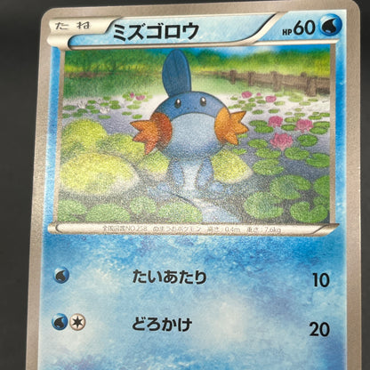 Mudkip 109/XY-P Combini XY Promos Pokemon Japanese