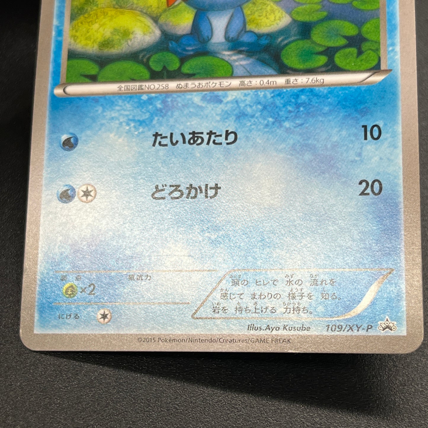 Mudkip 109/XY-P Combini XY Promos Pokemon Japanese