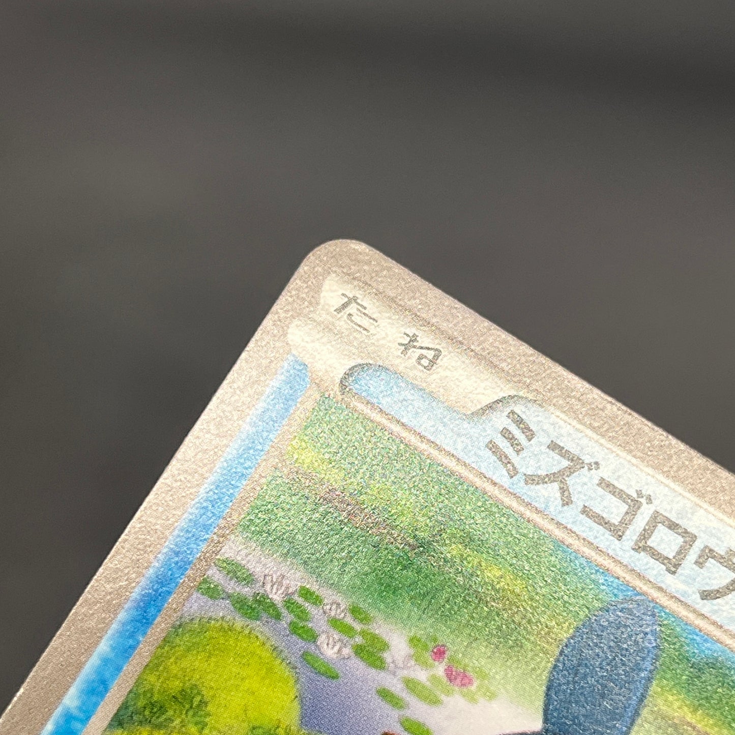 Mudkip 109/XY-P Combini XY Promos Pokemon Japanese