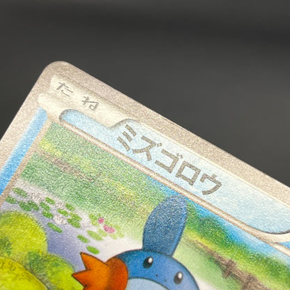 Mudkip 109/XY-P Combini XY Promos Pokemon Japanese