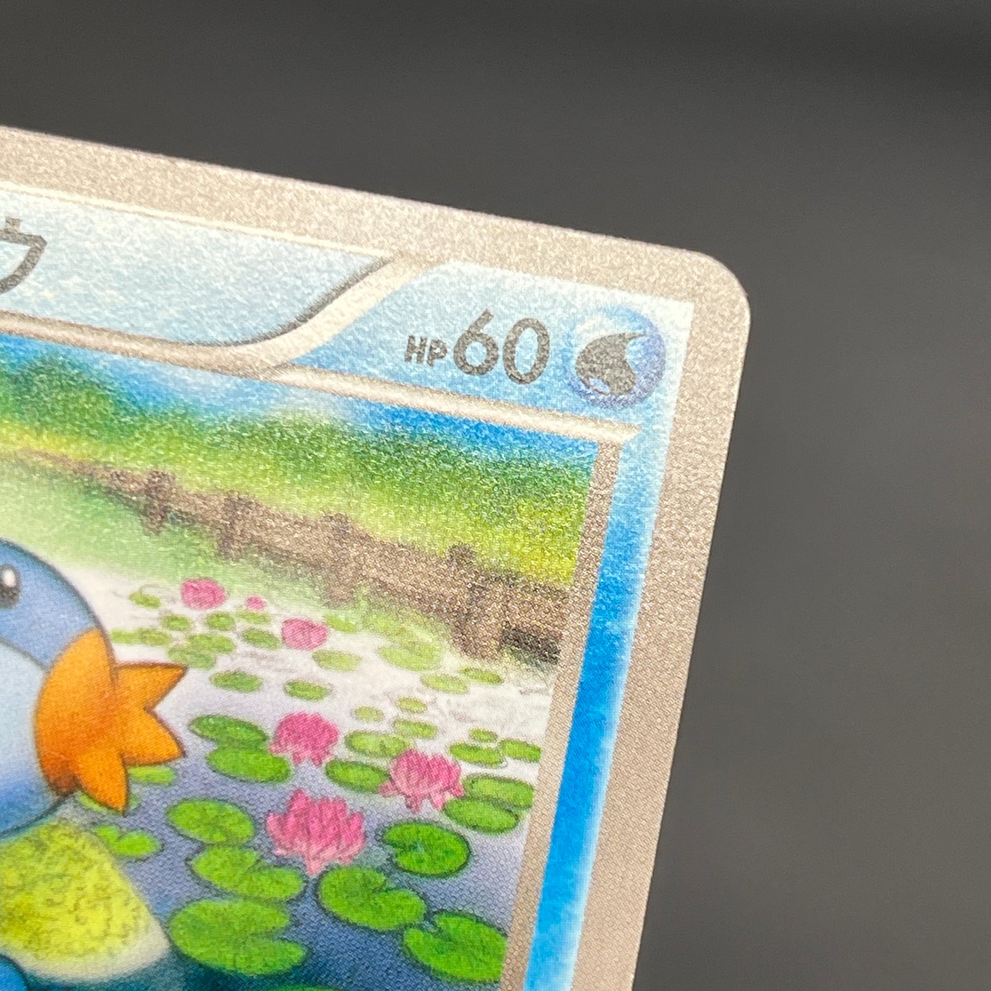 Mudkip 109/XY-P Combini XY Promos Pokemon Japanese