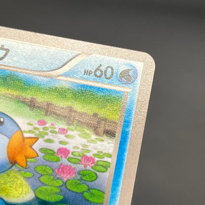 Mudkip 109/XY-P Combini XY Promos Pokemon Japanese