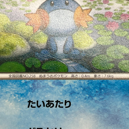 Mudkip 109/XY-P Combini XY Promos Pokemon Japanese
