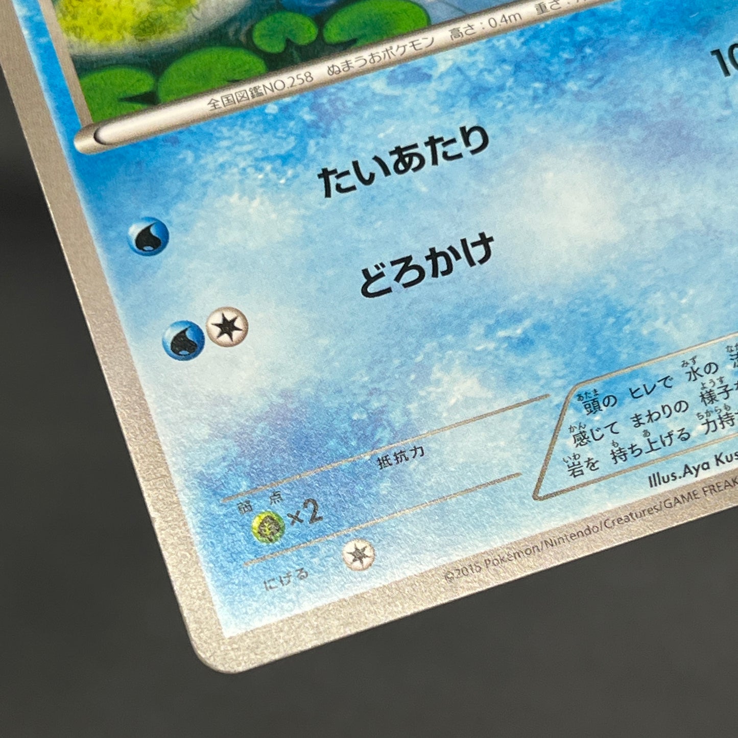 Mudkip 109/XY-P Combini XY Promos Pokemon Japanese