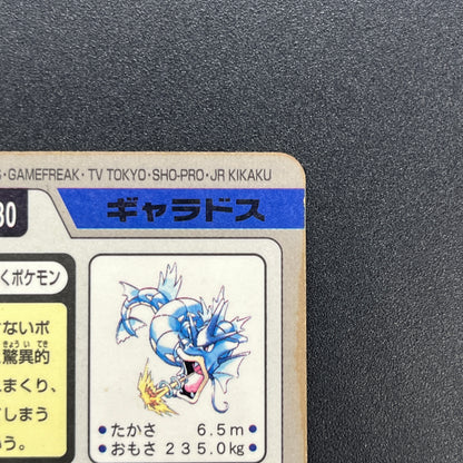 Gyarados File No. 130 Bandai Carddass Prism Pokémon Card