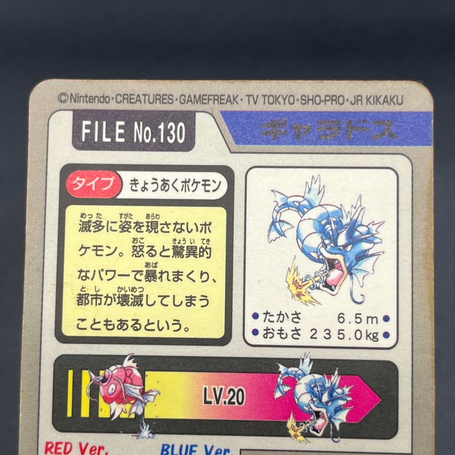 Gyarados File No. 130 Bandai Carddass Prism Pokémon Card
