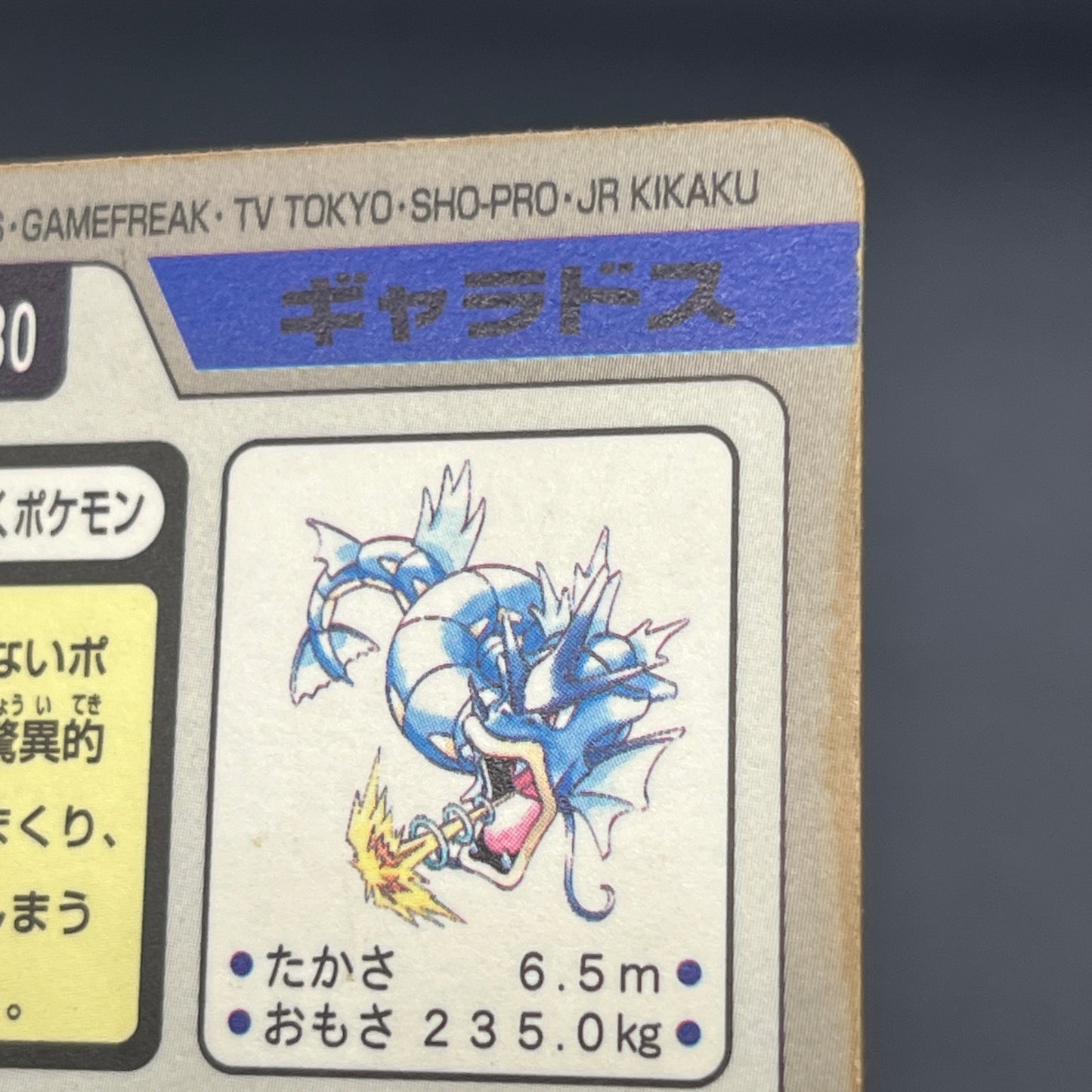 Gyarados File No. 130 Bandai Carddass Prism Pokémon Card