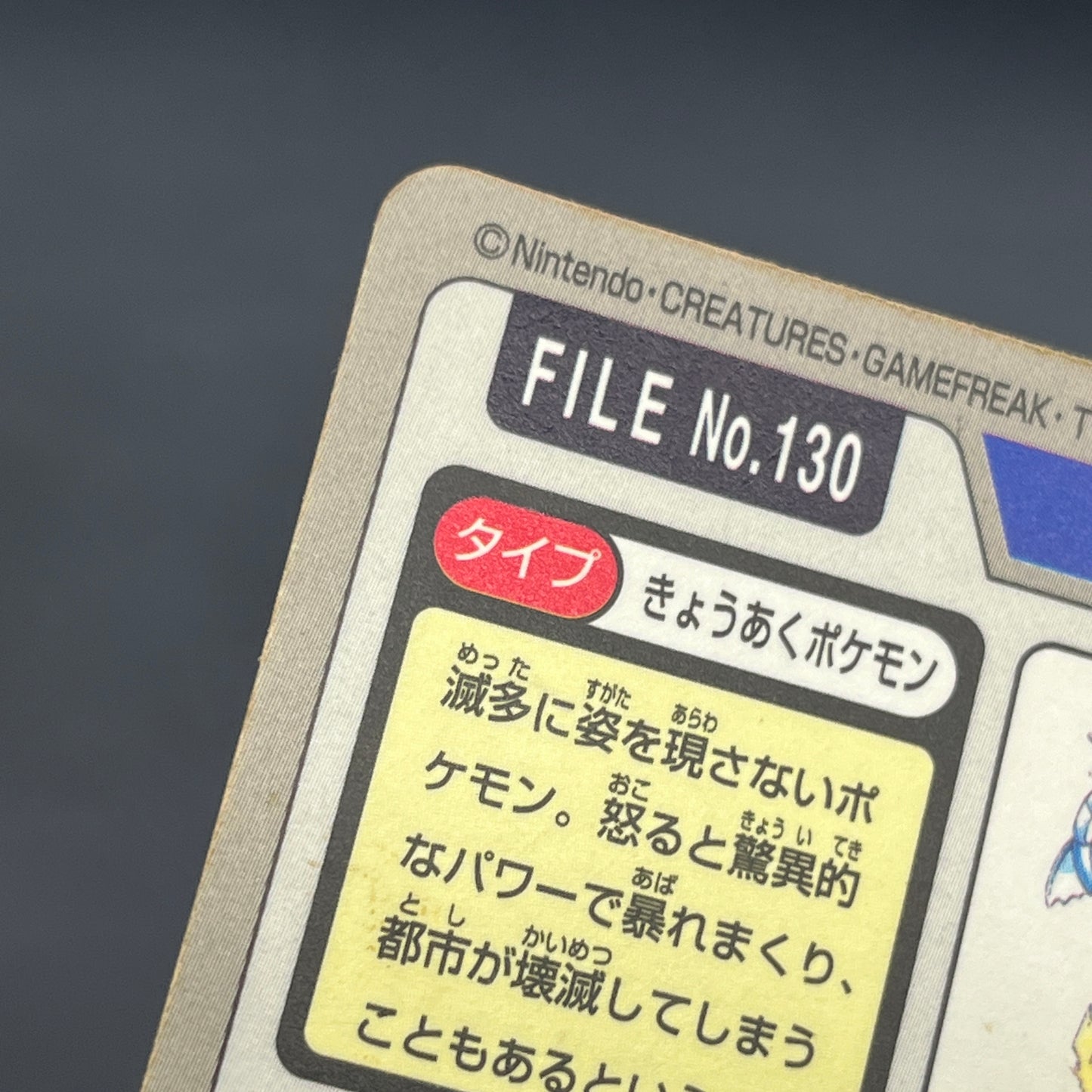 Gyarados File No. 130 Bandai Carddass Prism Pokémon Card