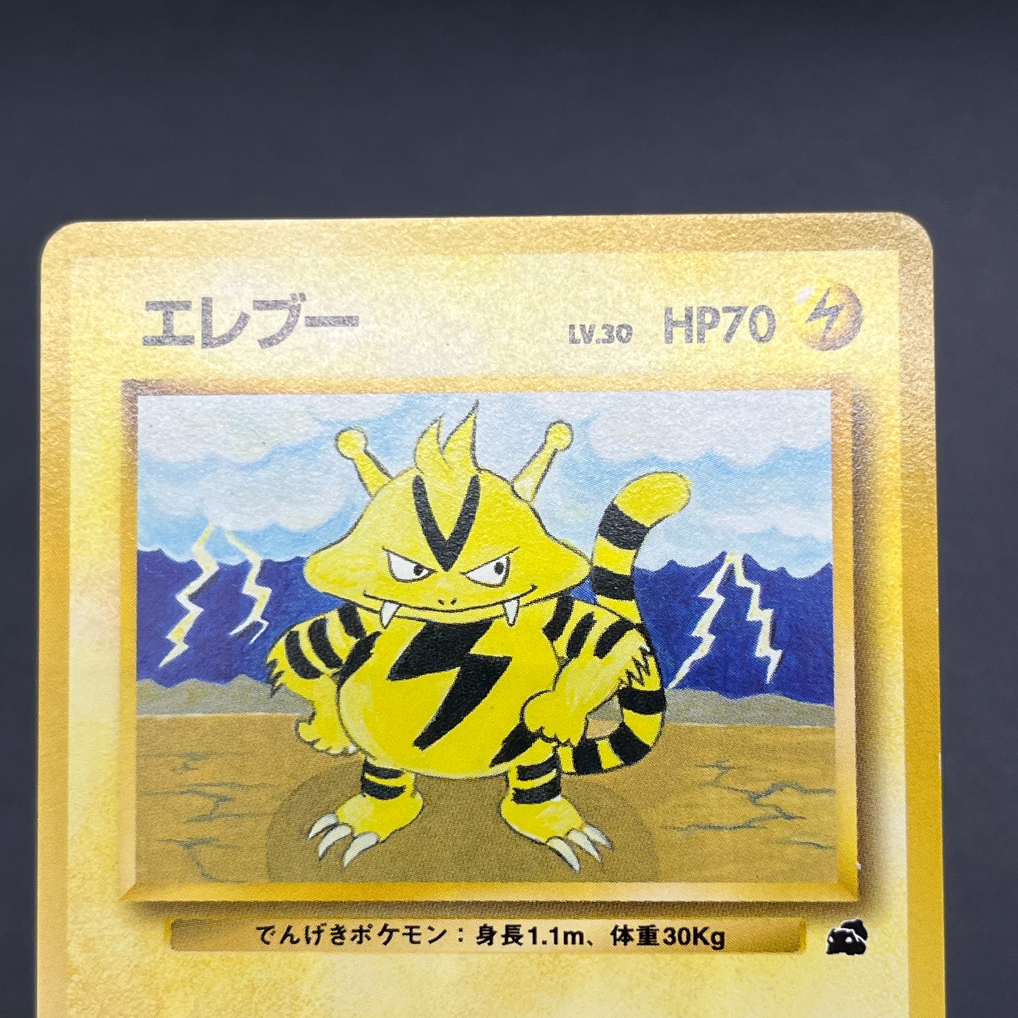 Electabuzz Intro Pack No.125 Bulbasaur Deck Pokémon Card