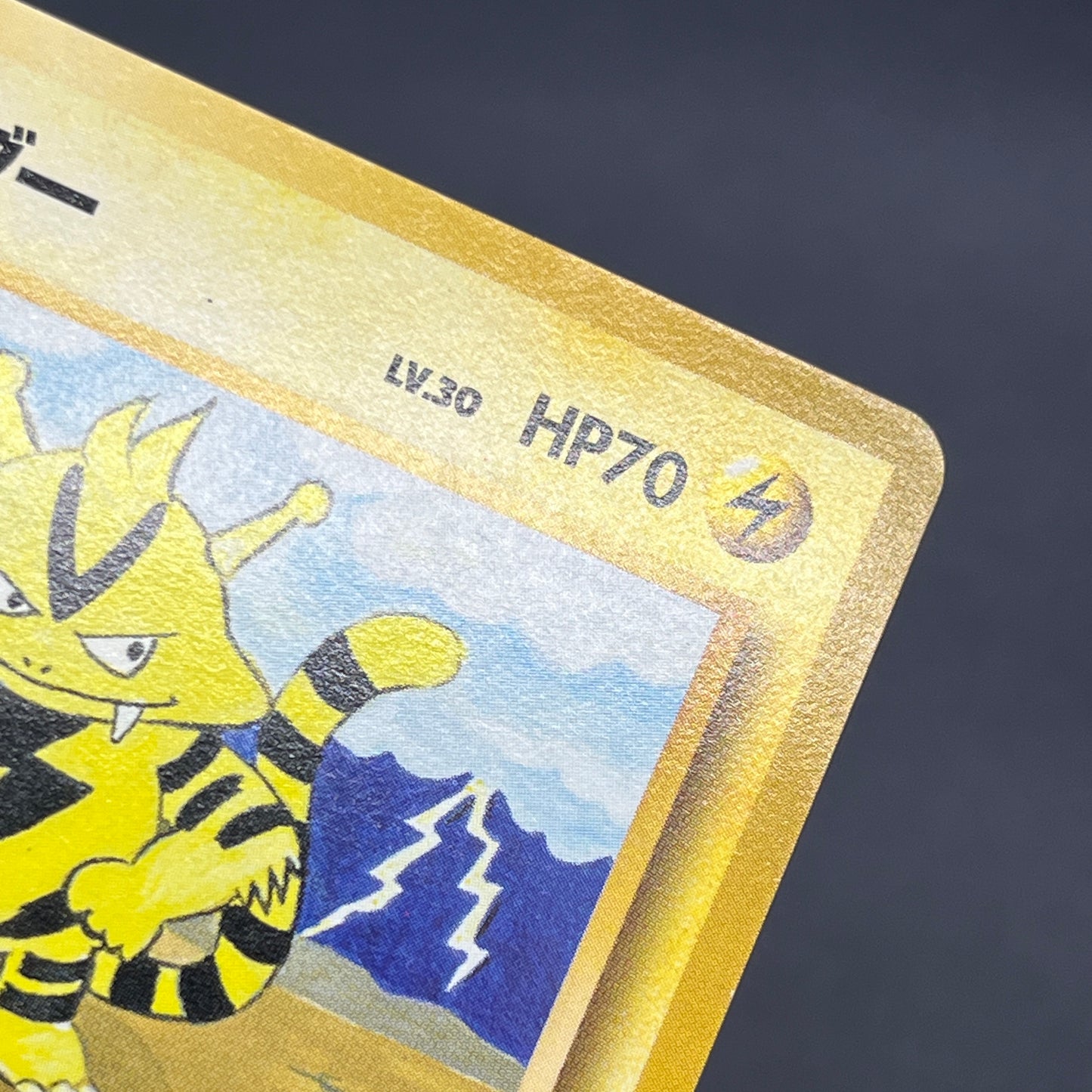 Electabuzz Intro Pack No.125 Bulbasaur Deck Pokémon Card