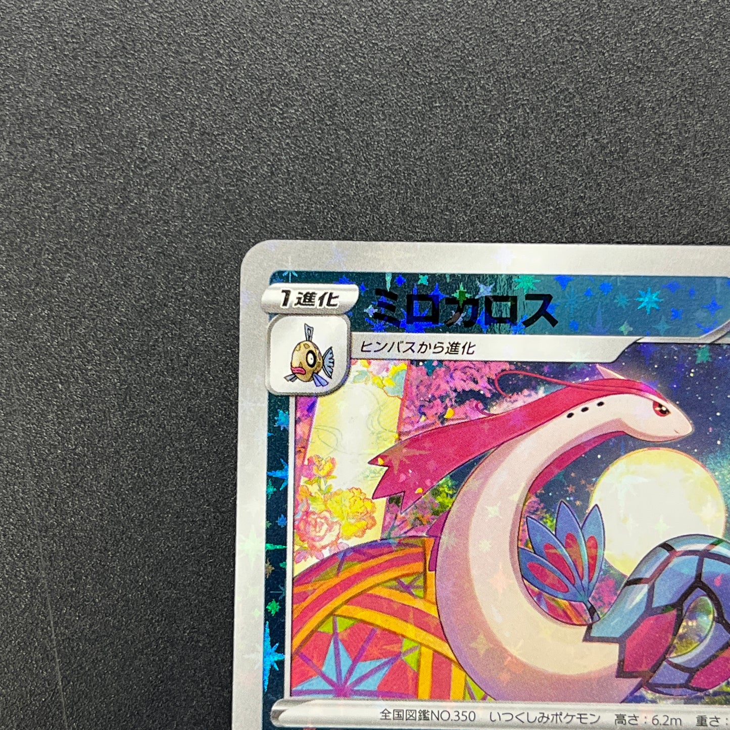 Milotic 145/S-P Promo Center Kanazawa Open Pokemon Card