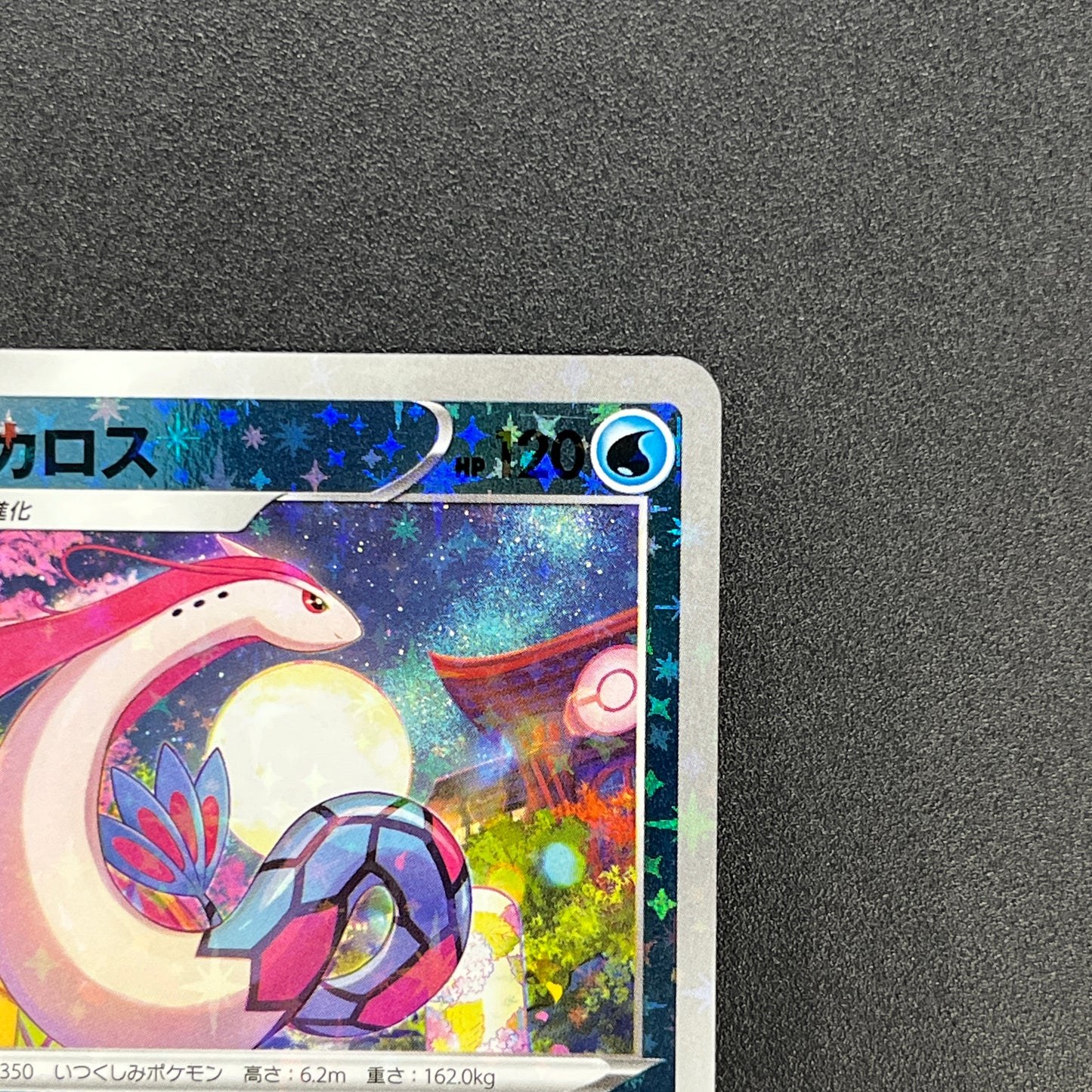 Milotic 145/S-P Promo Center Kanazawa Open Pokemon Card