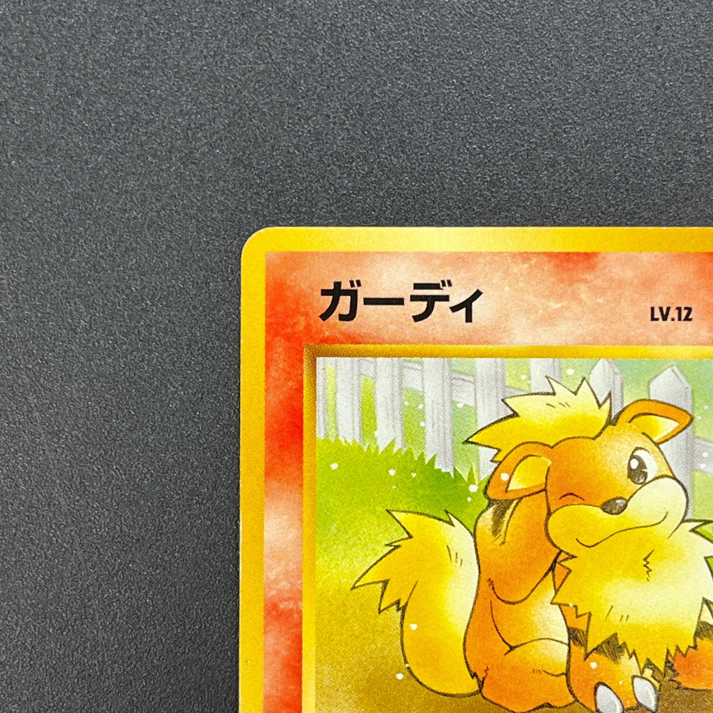 Growlithe 058 Intro Pack Squirtle Japanese Pokemon Card