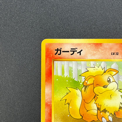 Growlithe 058 Intro Pack Squirtle Japanese Pokemon Card