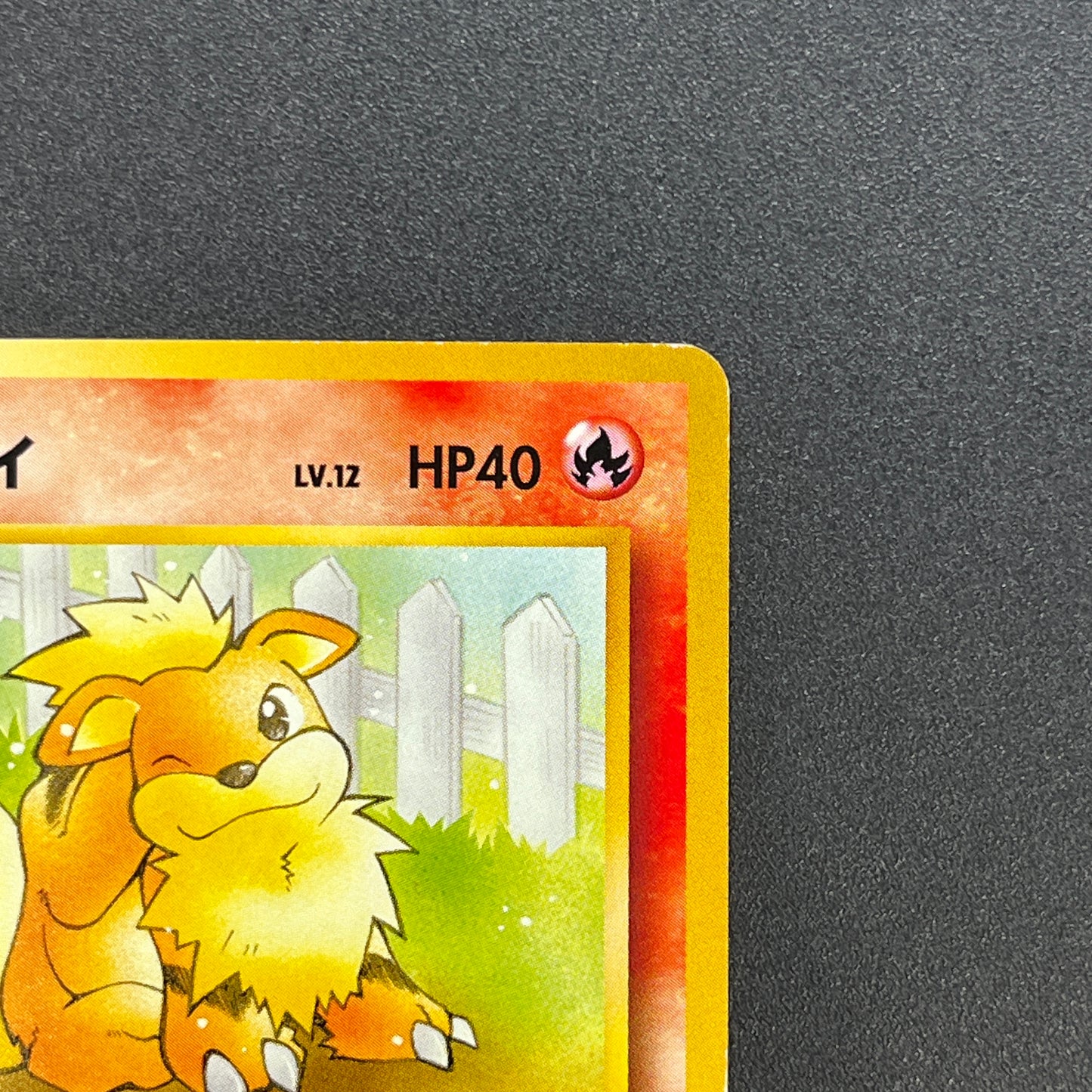 Growlithe 058 Intro Pack Squirtle Japanese Pokemon Card